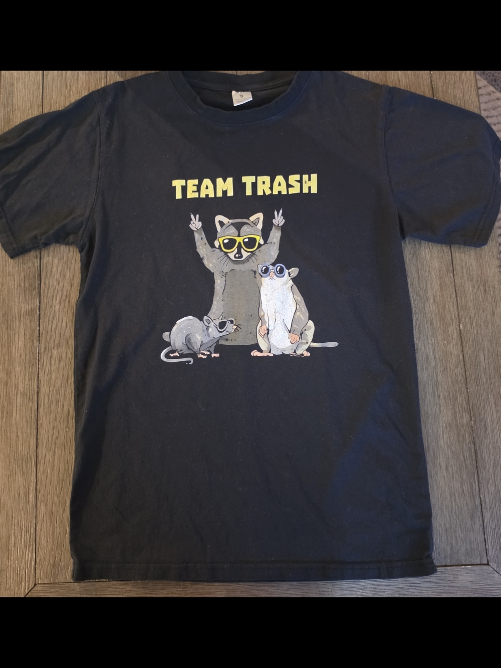 Unisex Team Trash Graphic Tee - Black Size Small